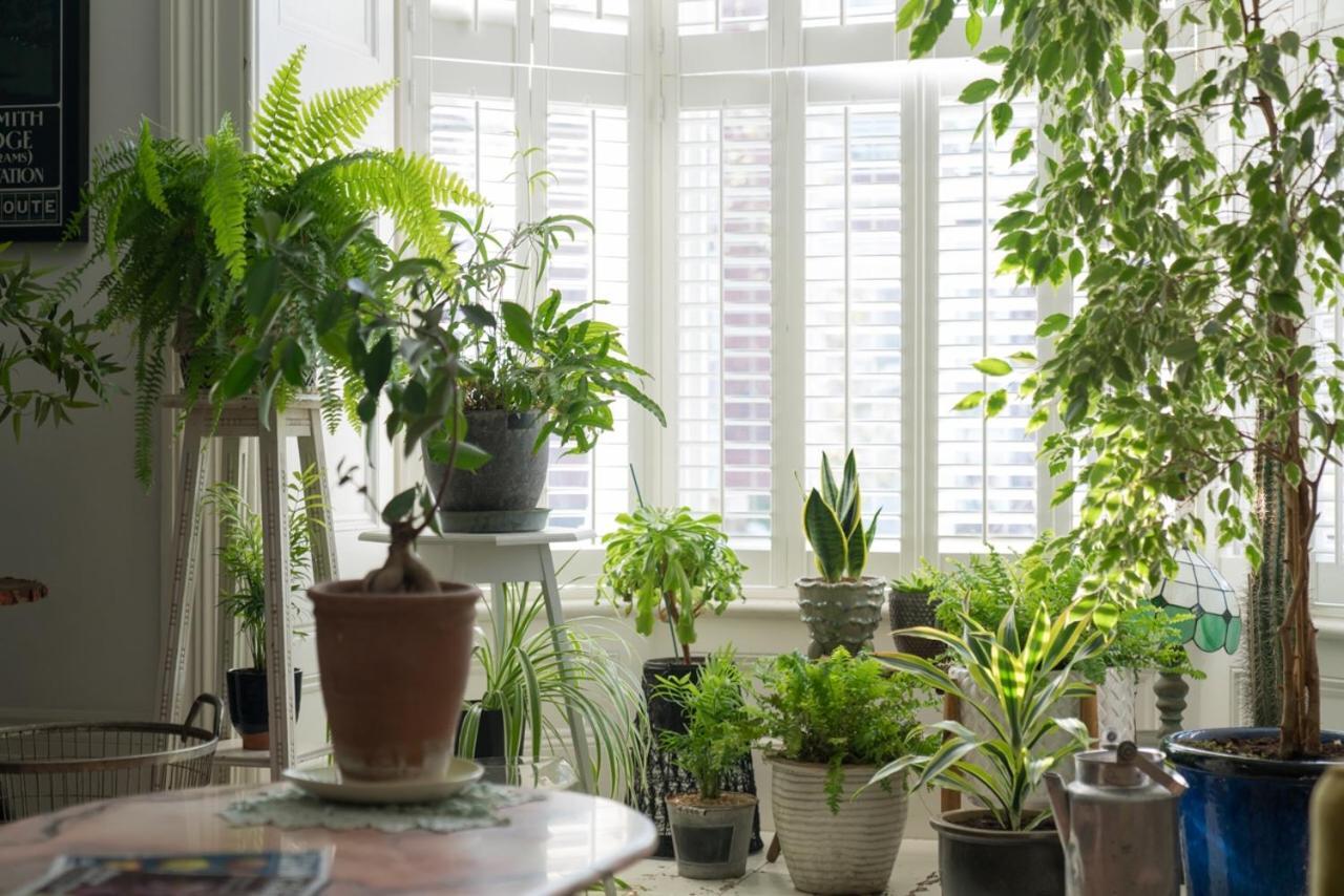 The Green House Портсмут Екстер'єр фото
