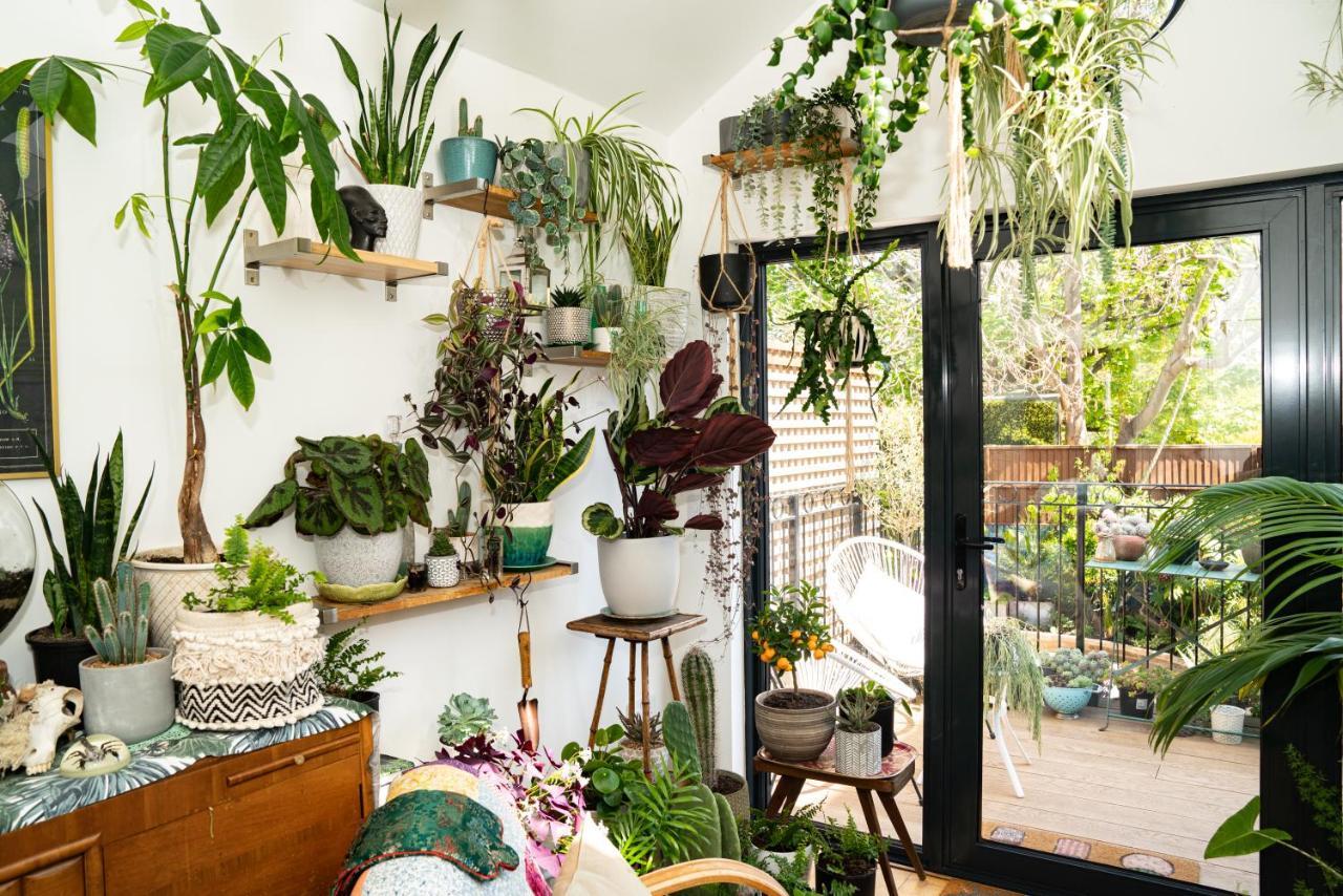 The Green House Портсмут Екстер'єр фото